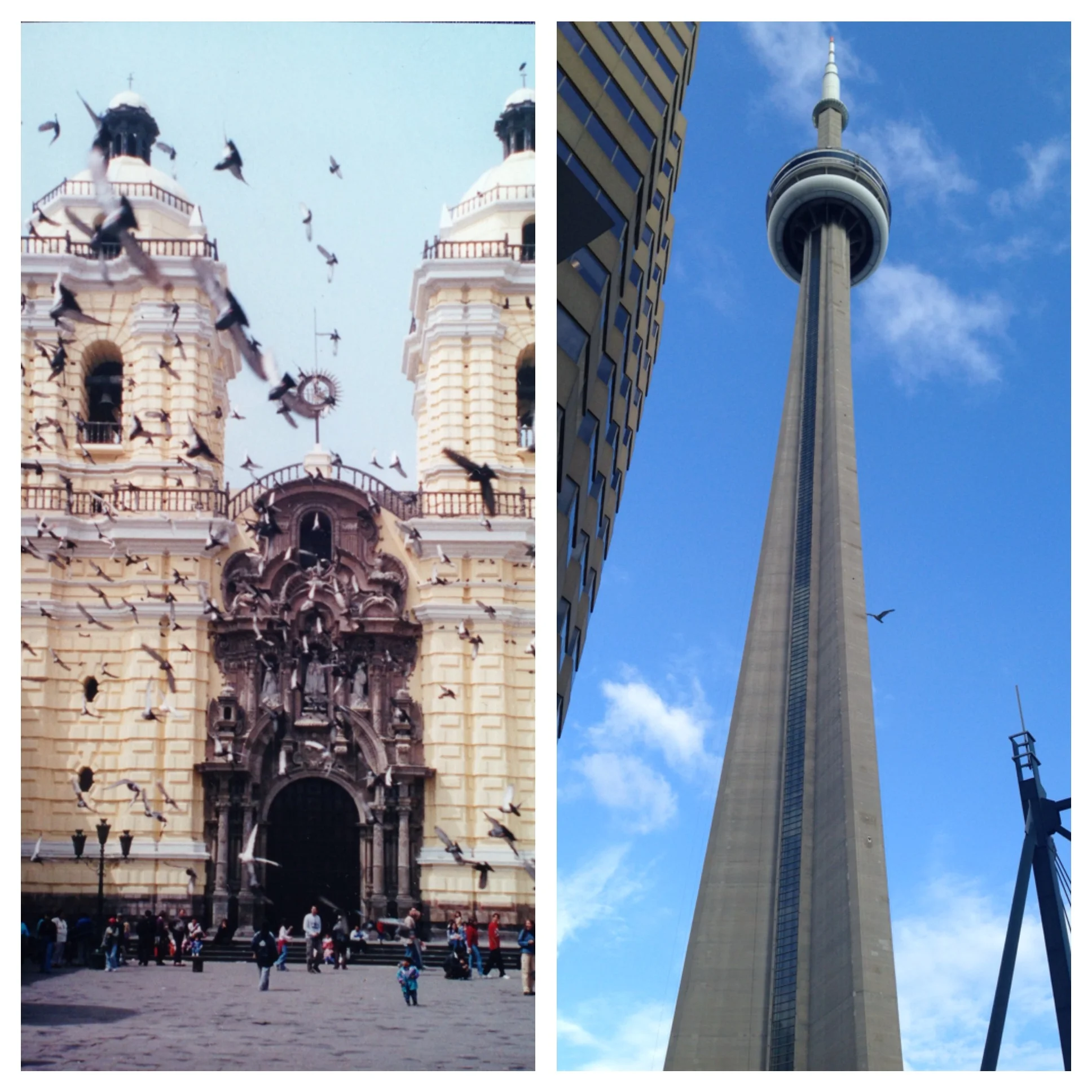 Left: Taken during my travels in Lima, Peru Right: This solitary bird turned this shot from good to great!