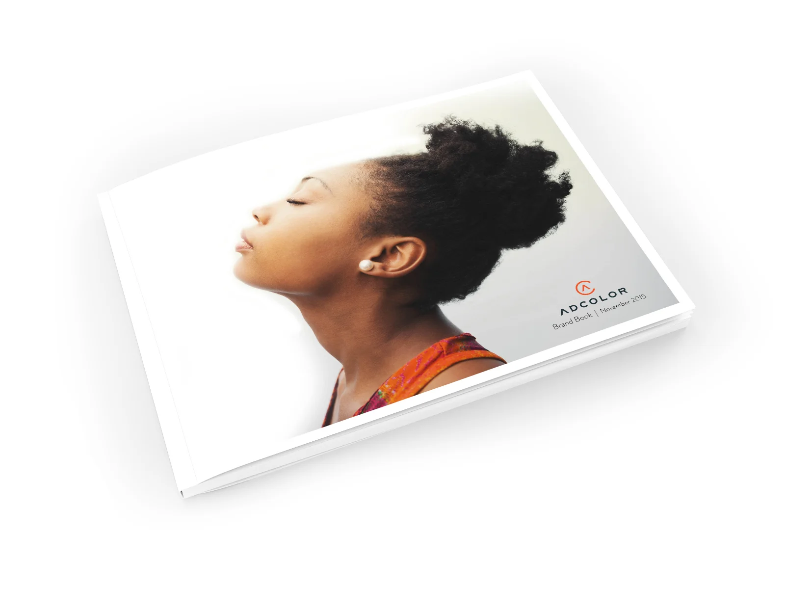              Brand Book Spreads 