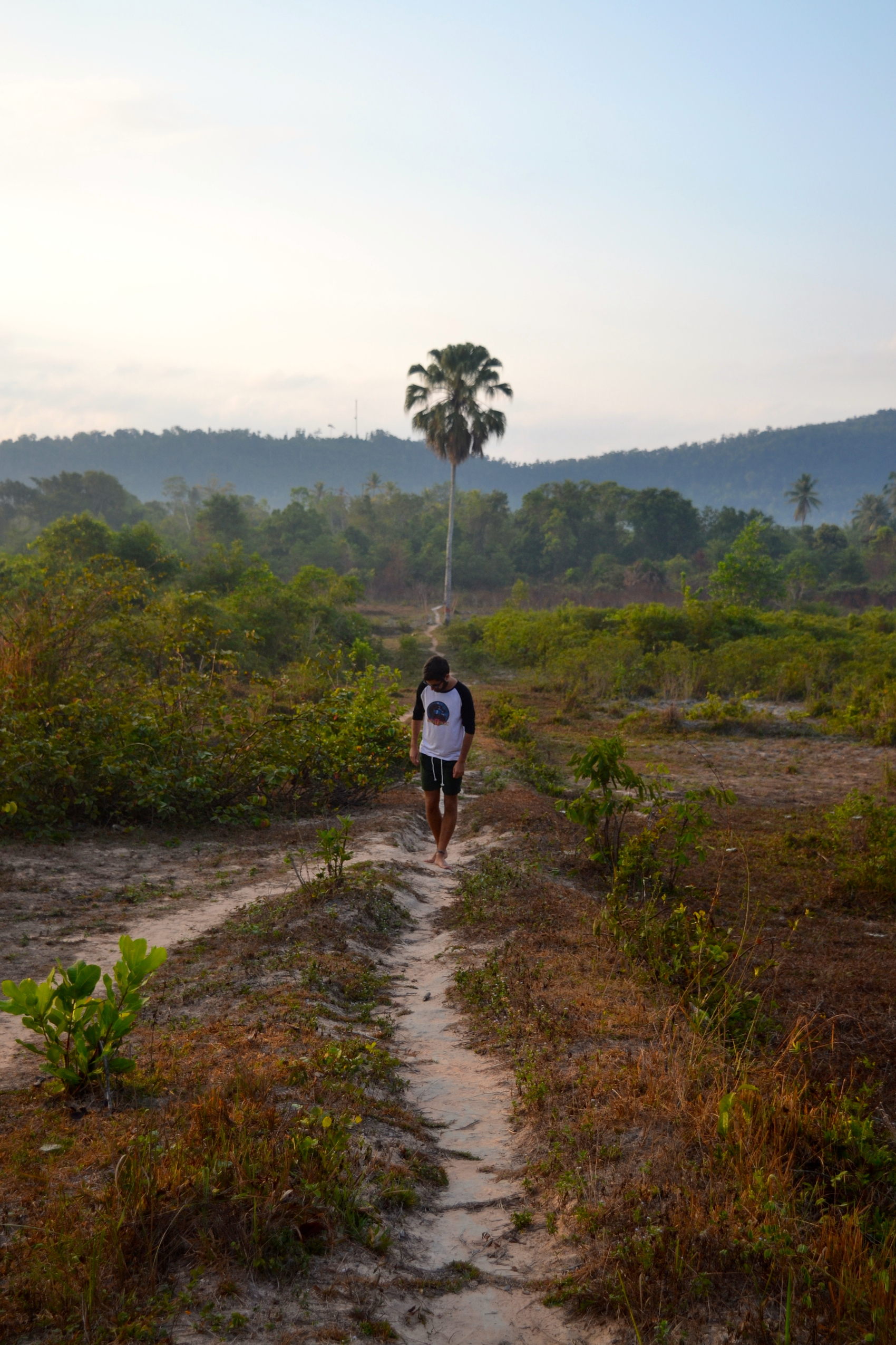 Walking through the jungle to the nearby village