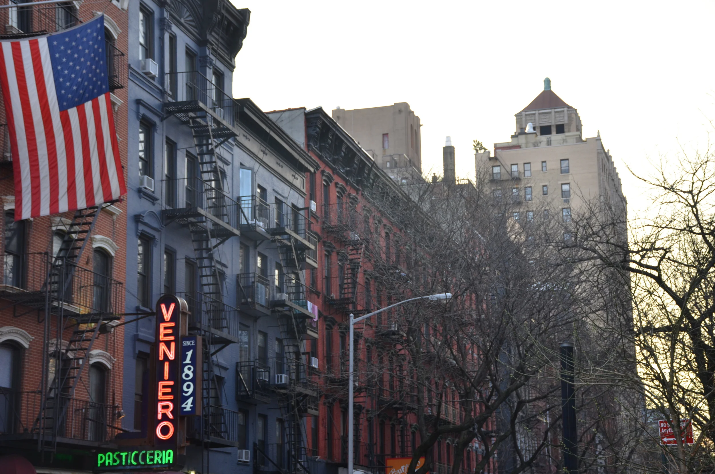 DSC_6461.JPG