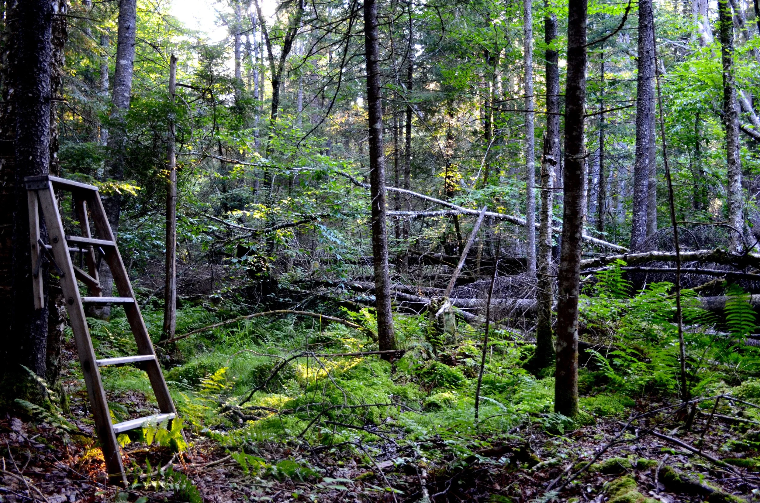 DSC_9627.jpg