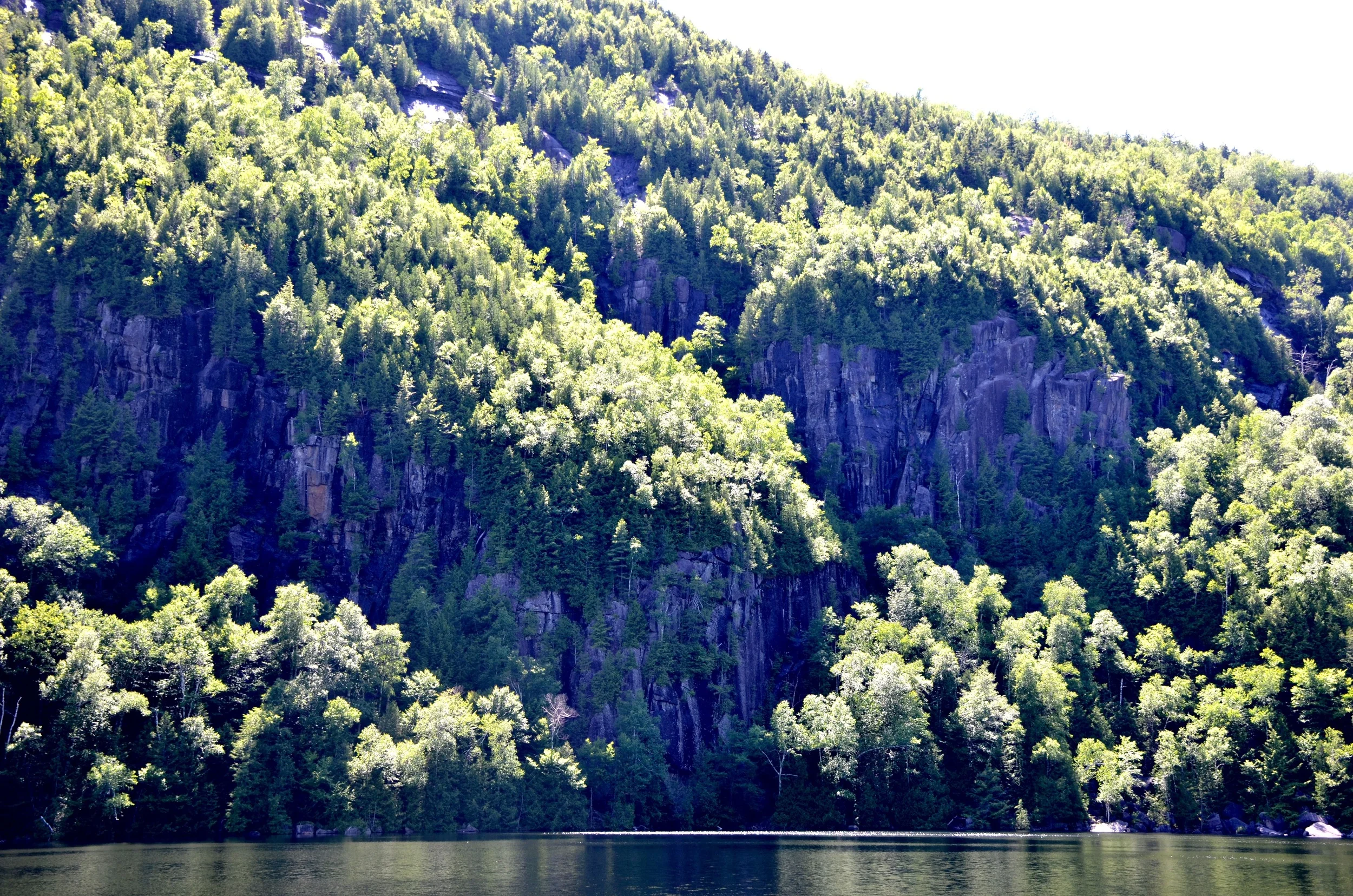 DSC_9550.jpg