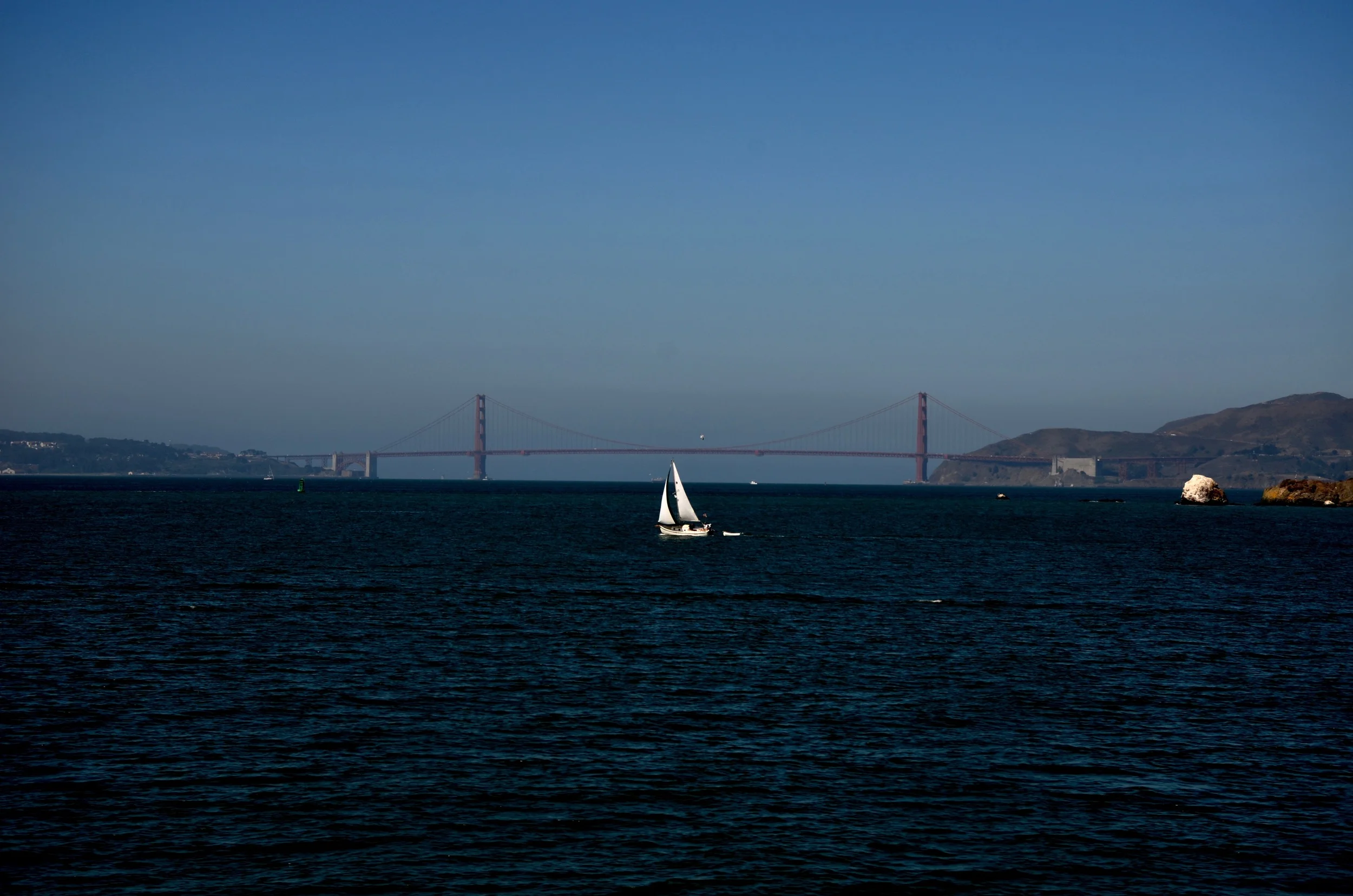 DSC_1431.jpg