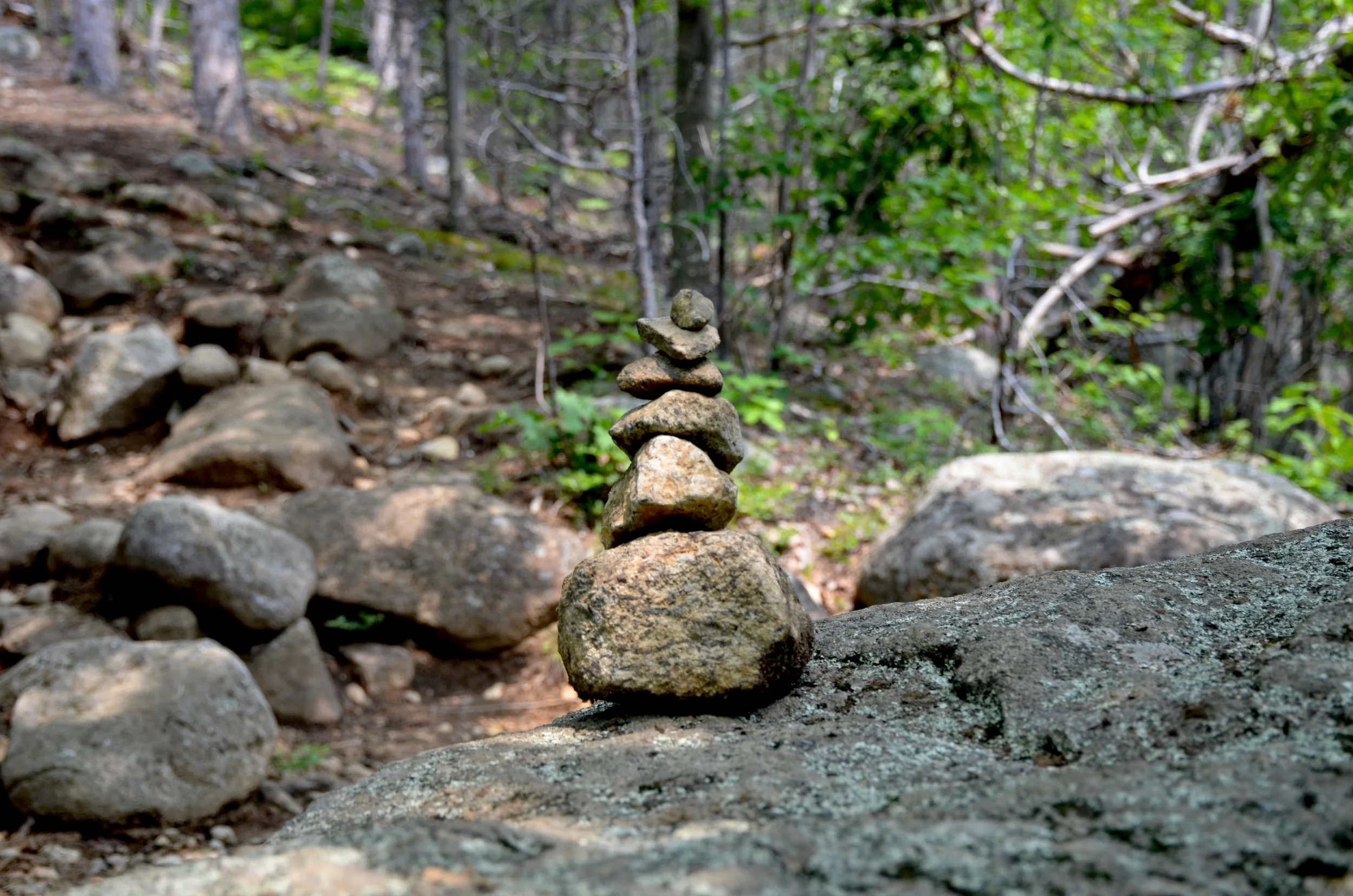 DSC_0614.jpg
