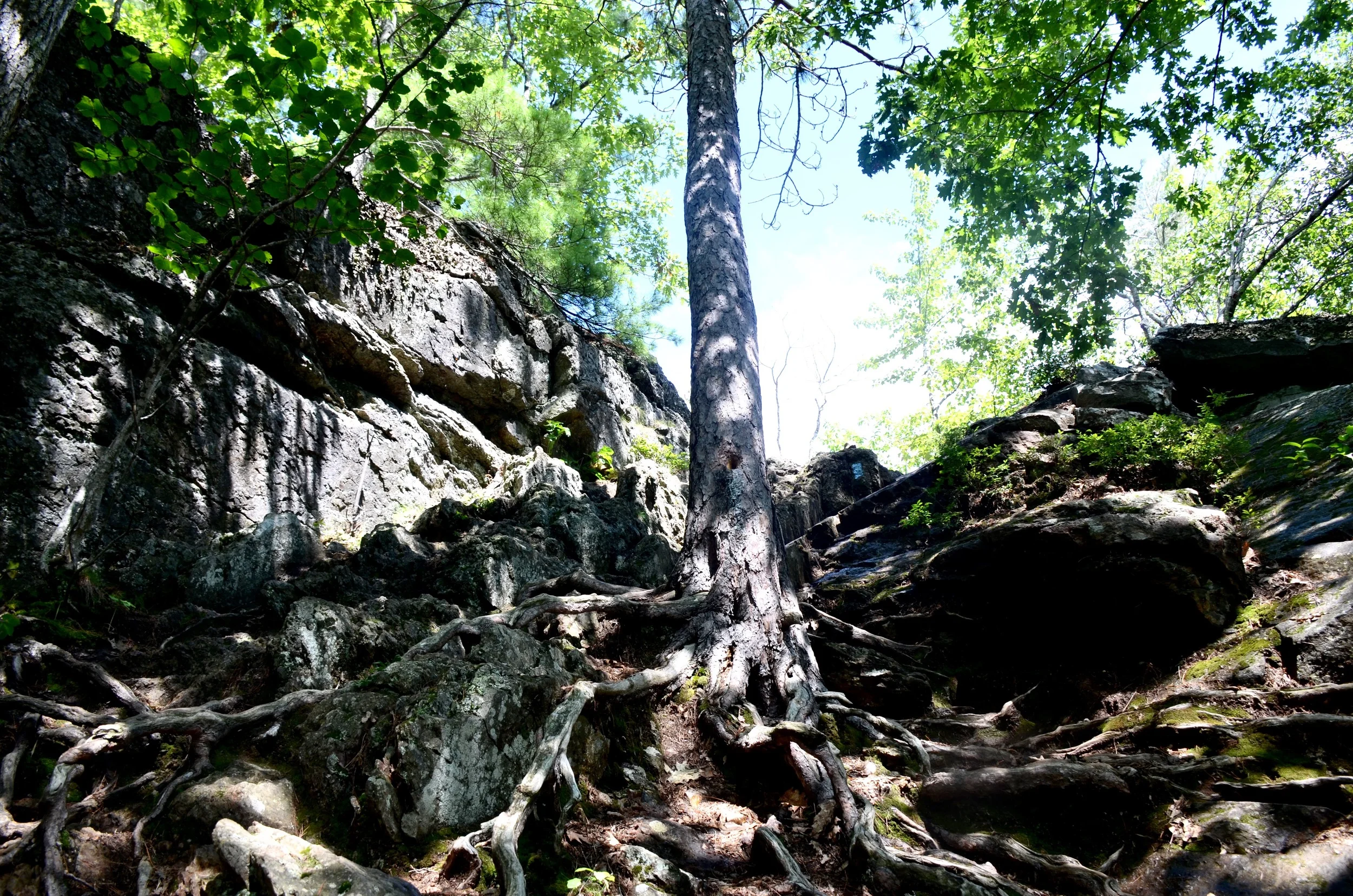 DSC_1931.jpg