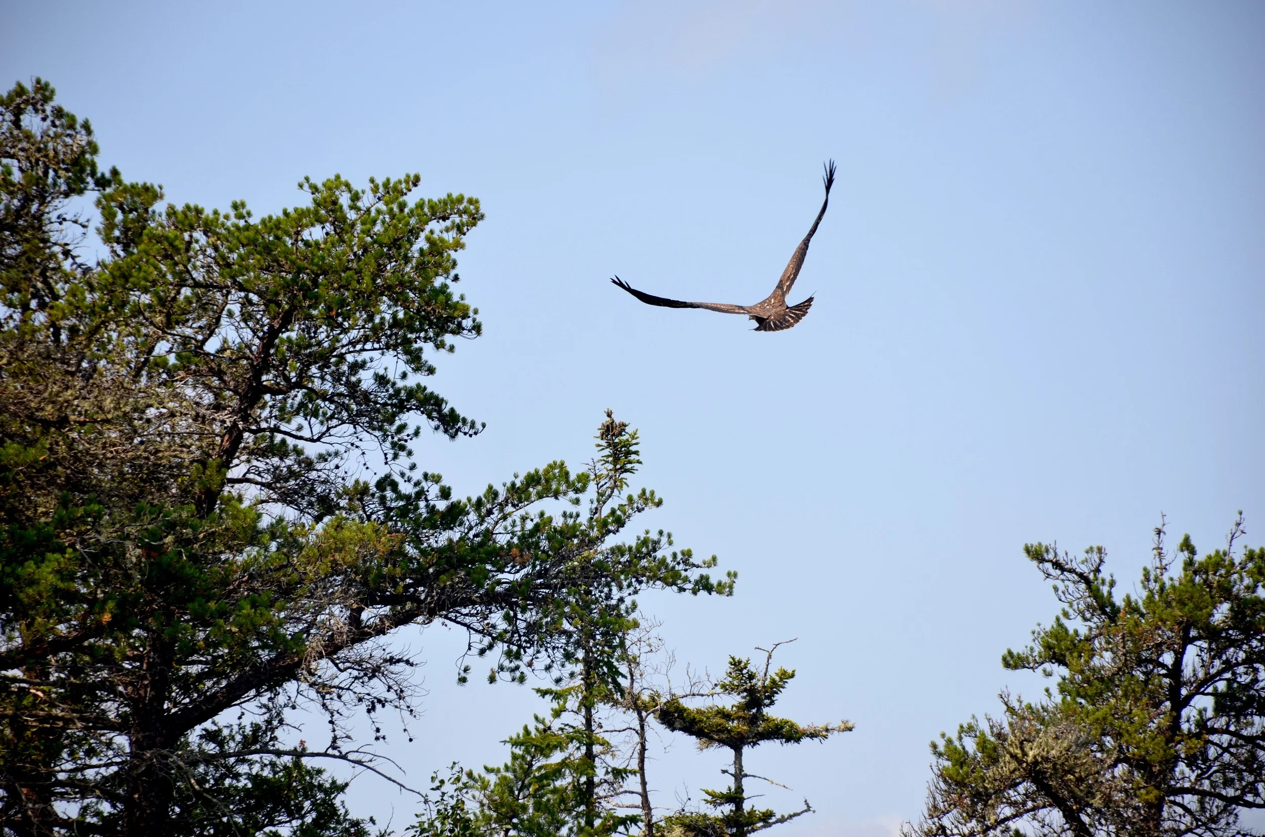 DSC_1657.jpg