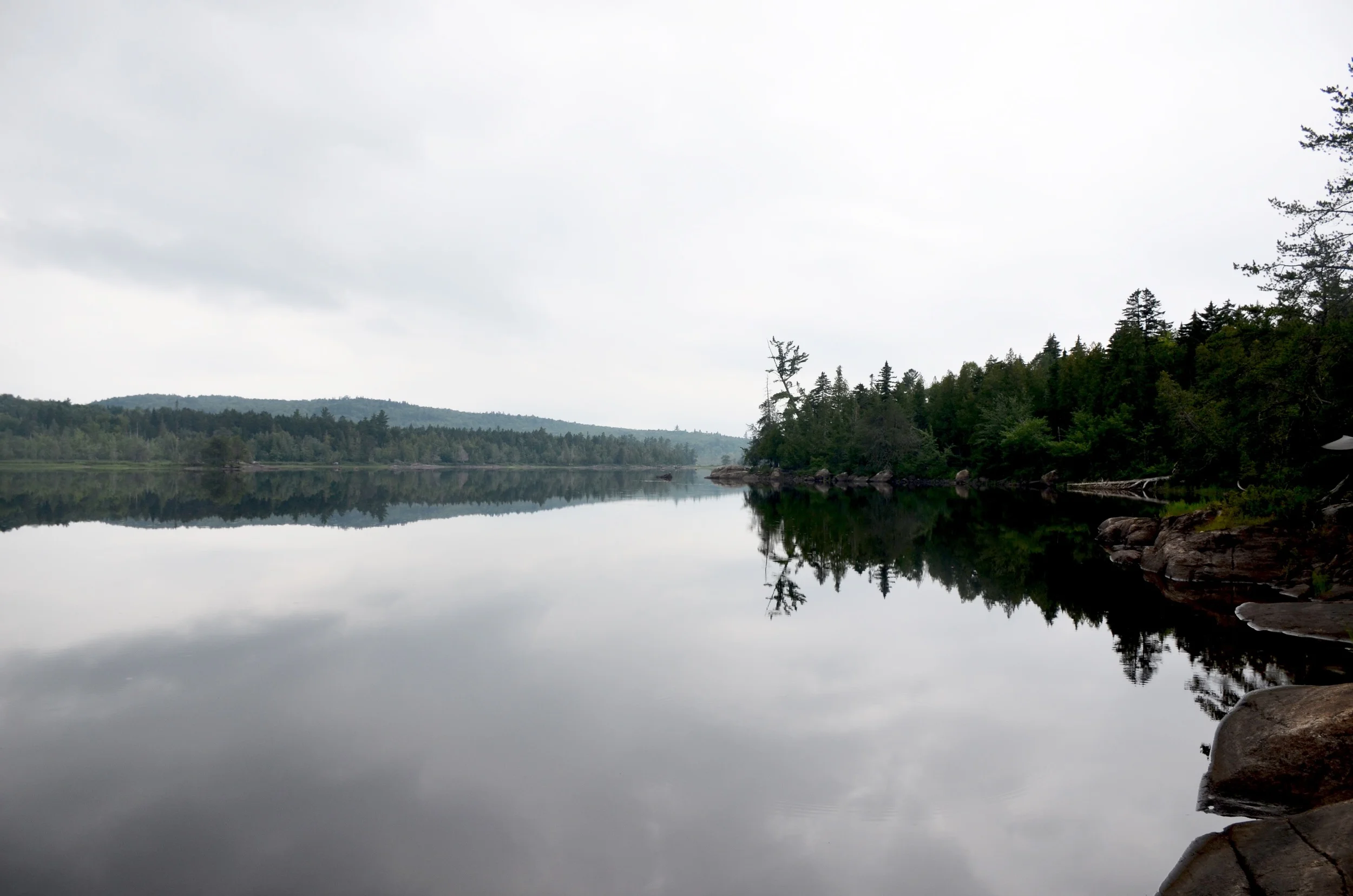 DSC_1608.jpg