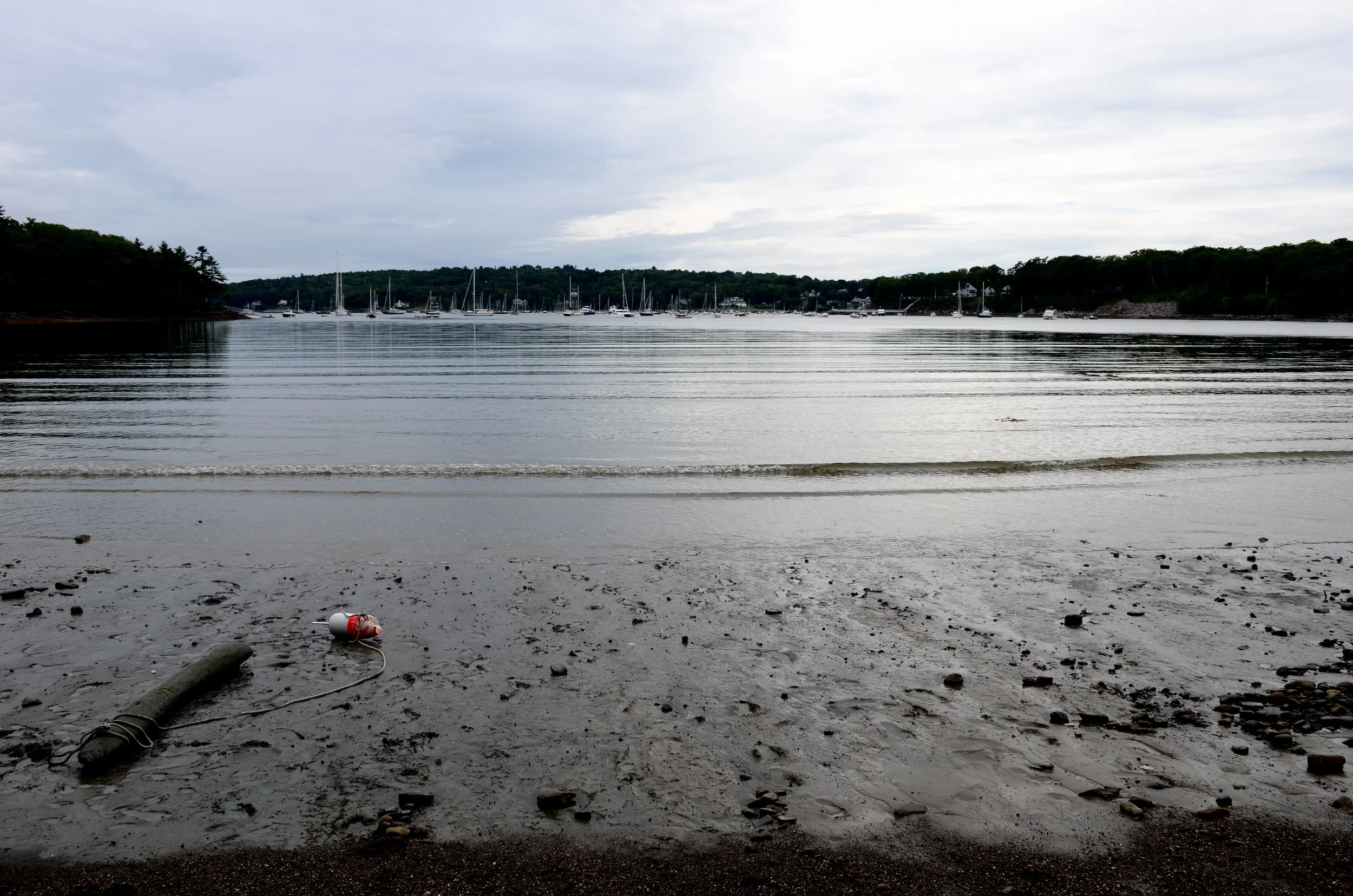 DSC_1851.jpg