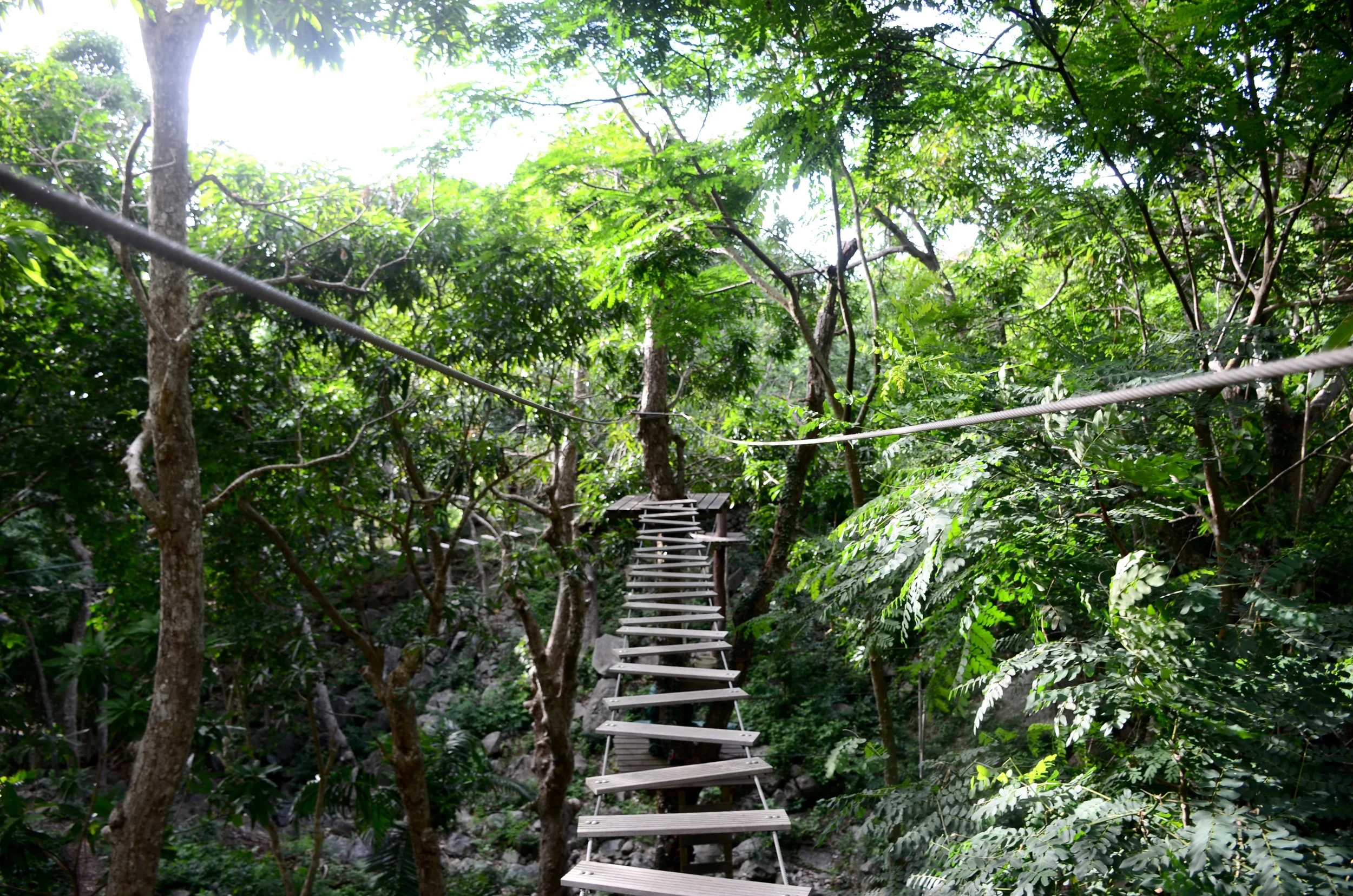 DSC_5796.jpg