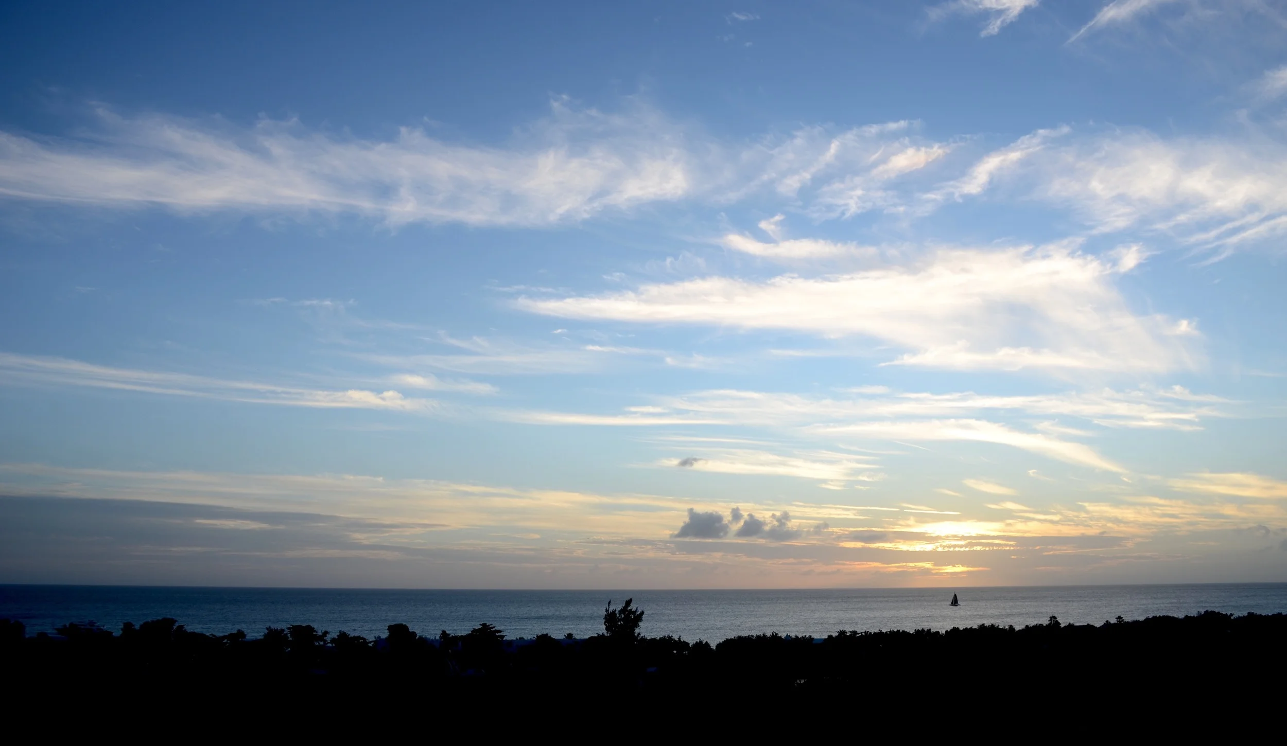 DSC_5606.jpg