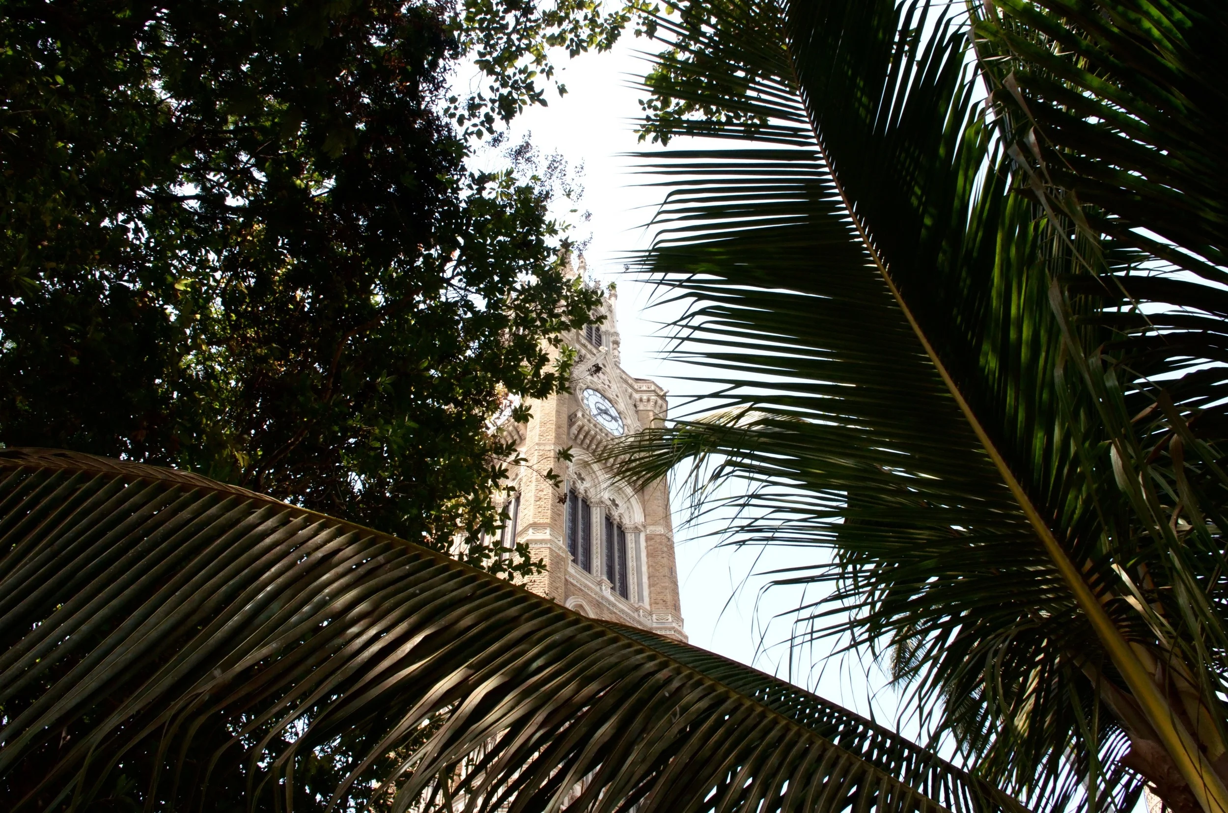 DSC_9591.jpg