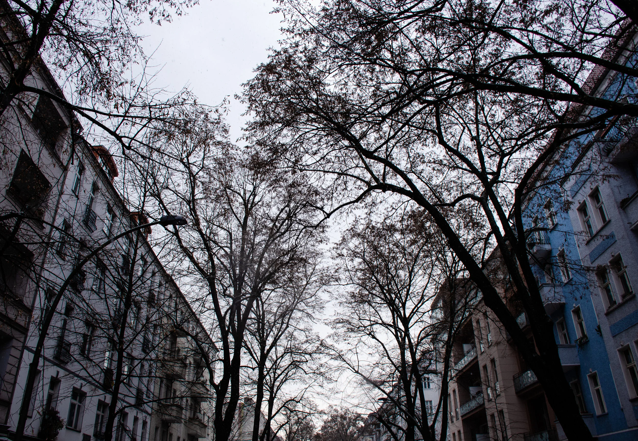 DSC_8994.jpg