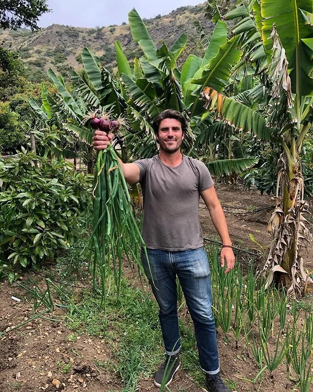 Love an afternoon cooking some pasta with local ingredients at the beautiful @plumcotfarm 🌱😊 tucked away in the Malibu mountains, this regenerative farm is growing healthy food while helping to combat climate change and grow biodiversity. #ratittou