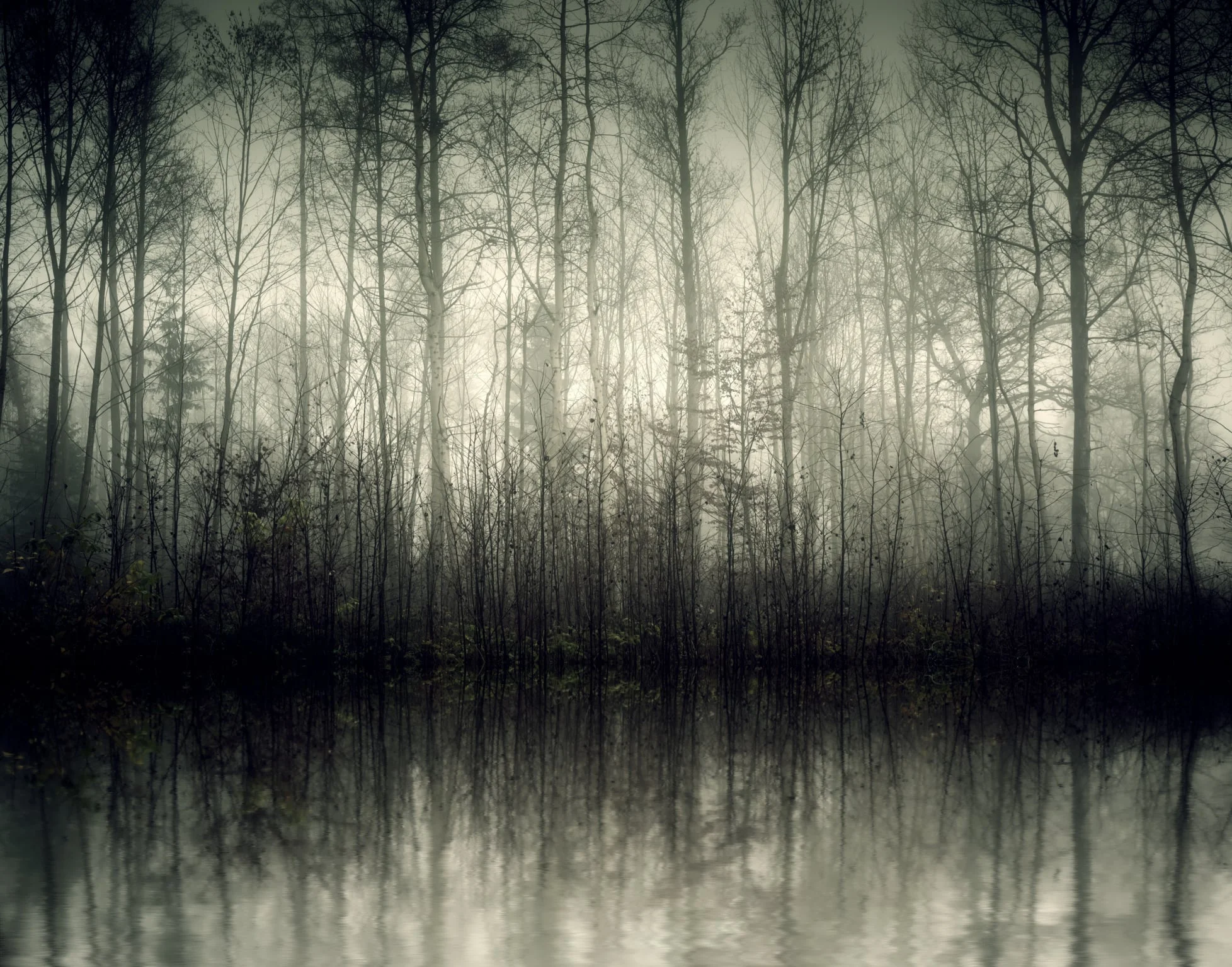 Wabi Sabi Wintertime Blues