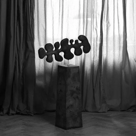 2B1FA045-A5C5-4E47-B86B-946A6FEF0D40