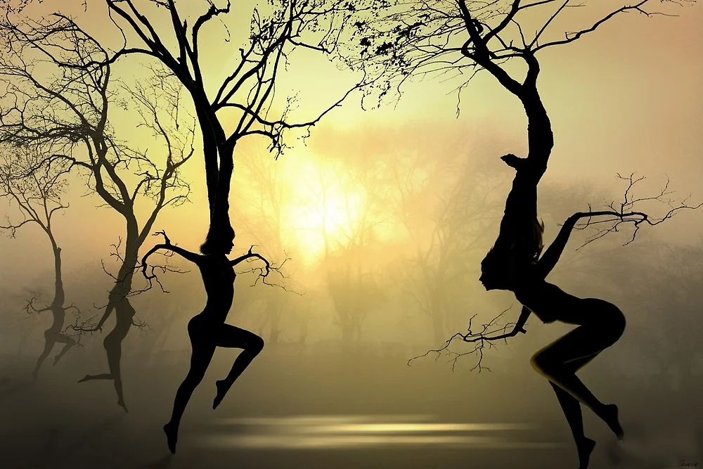 Dancing Trees1.jpg