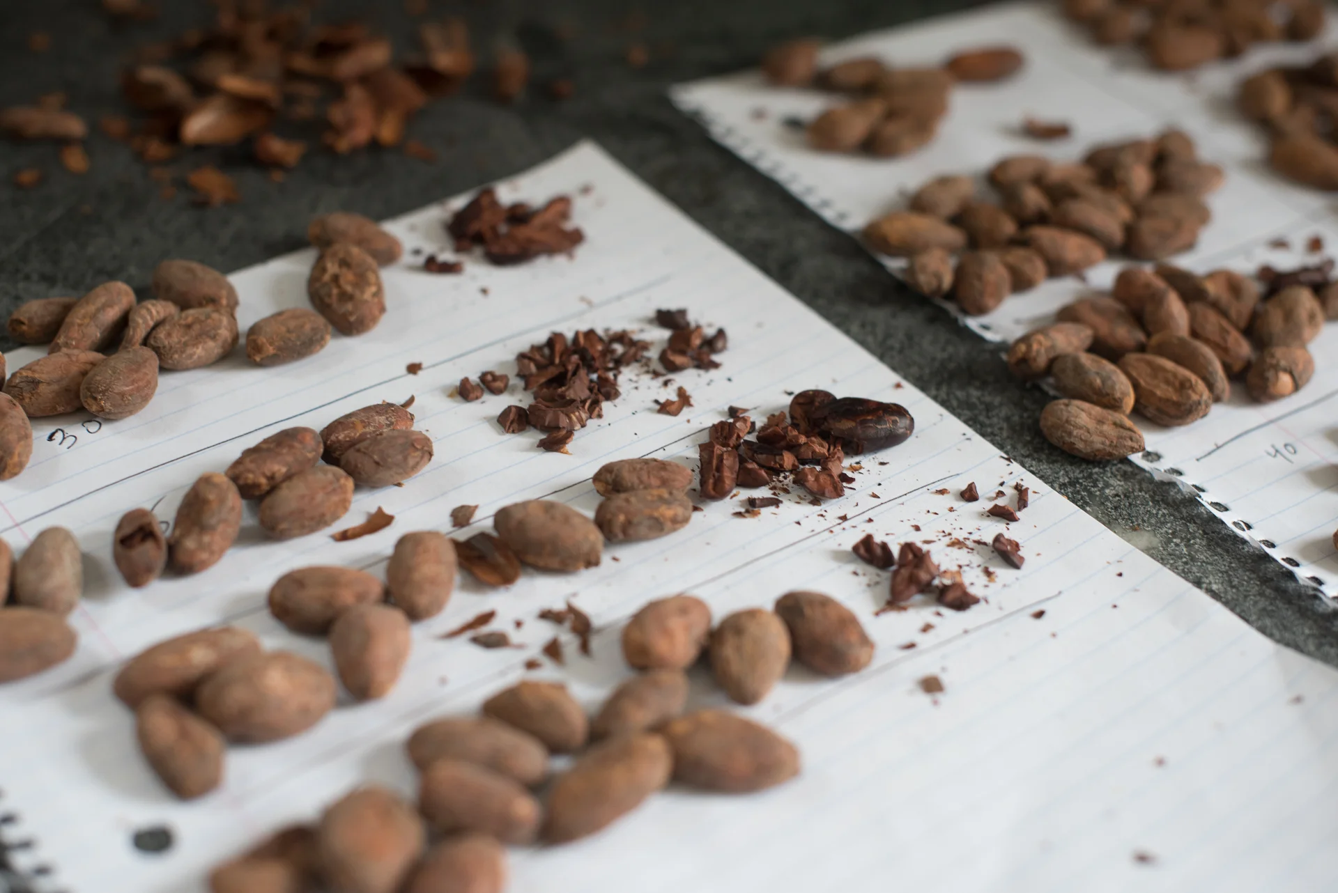 roasting tests