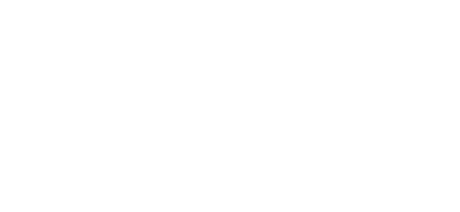 logo blanc V.png