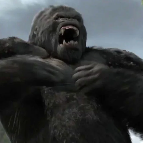 kingkong.jpg