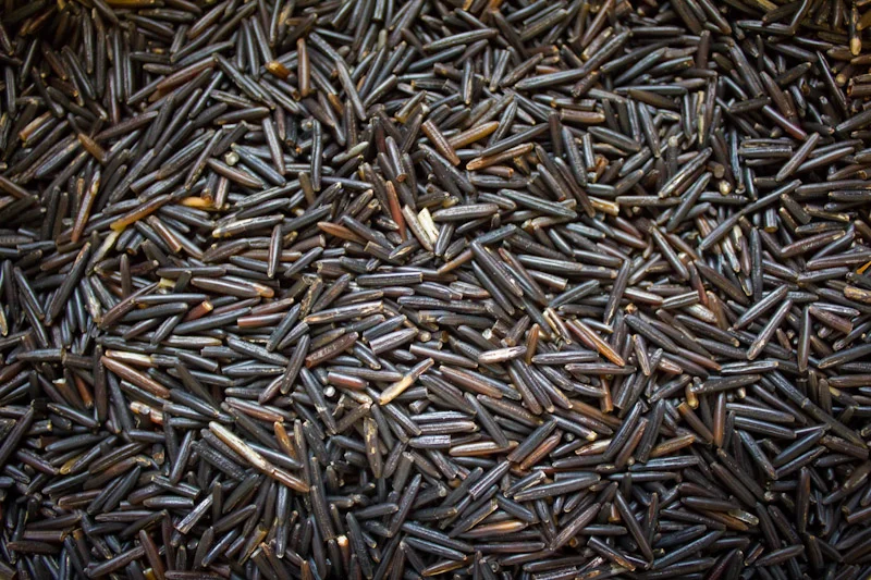 Wild Rice