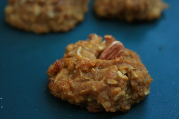 Coconut Almond Pumpkin Cookies