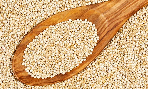 Sprouted Quinoa