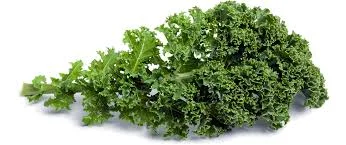 Homemade Kale Chips: An excellent substitute for potato chips!