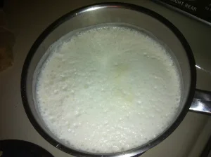 Making Your Own Soy Milk