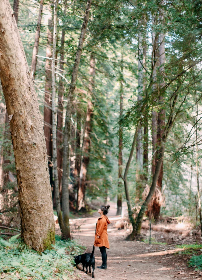 california vsco desert big sur redwood forest travel photography