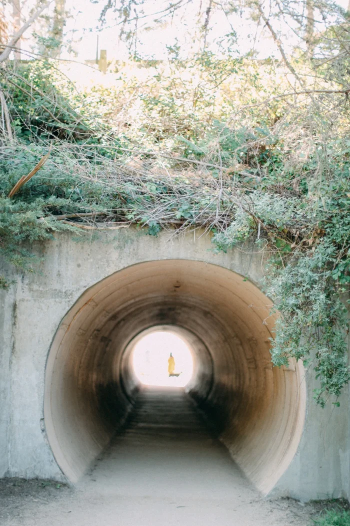 california vsco desert big sur redwood forest travel photography