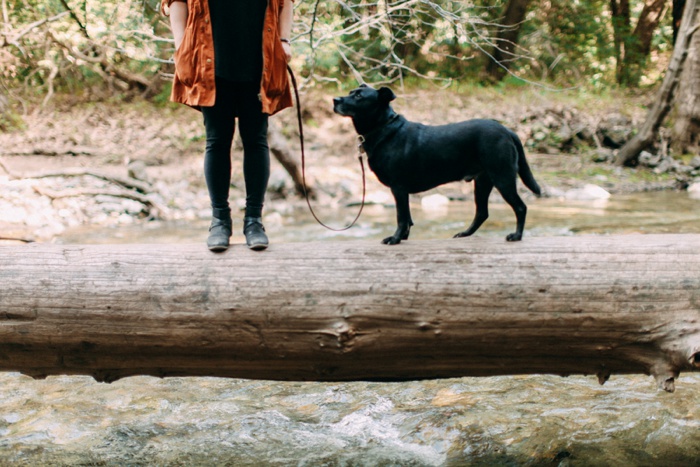 california vsco desert big sur redwood forest travel photography