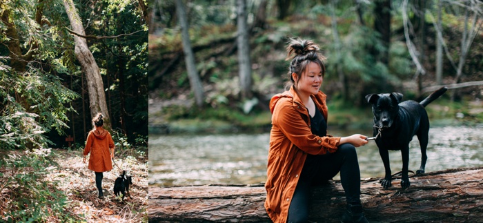 california vsco desert big sur redwood forest travel photography