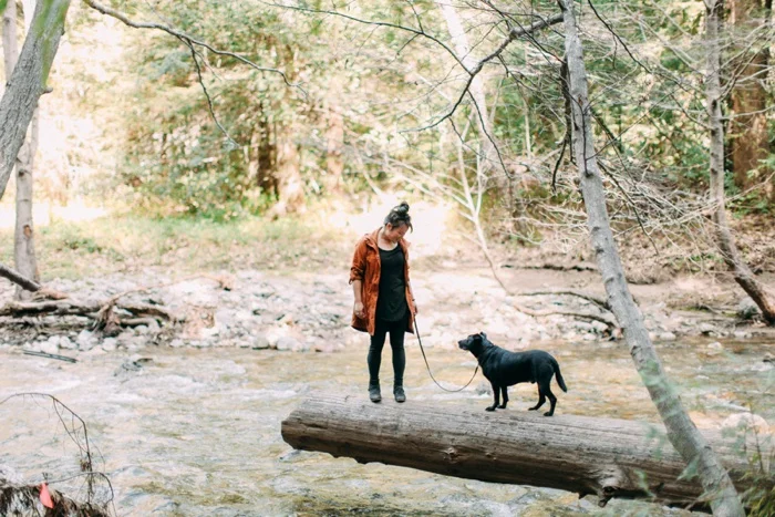 california vsco desert big sur redwood forest travel photography