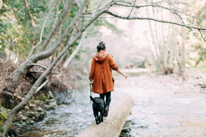 california vsco desert big sur redwood forest travel photography
