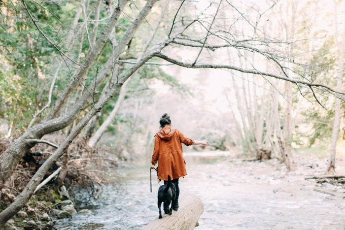 california vsco desert big sur redwood forest travel photography