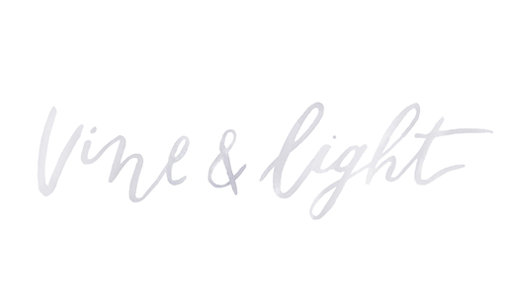 Vine and Light  |  North Carolina | Wedding and Portrait Photography