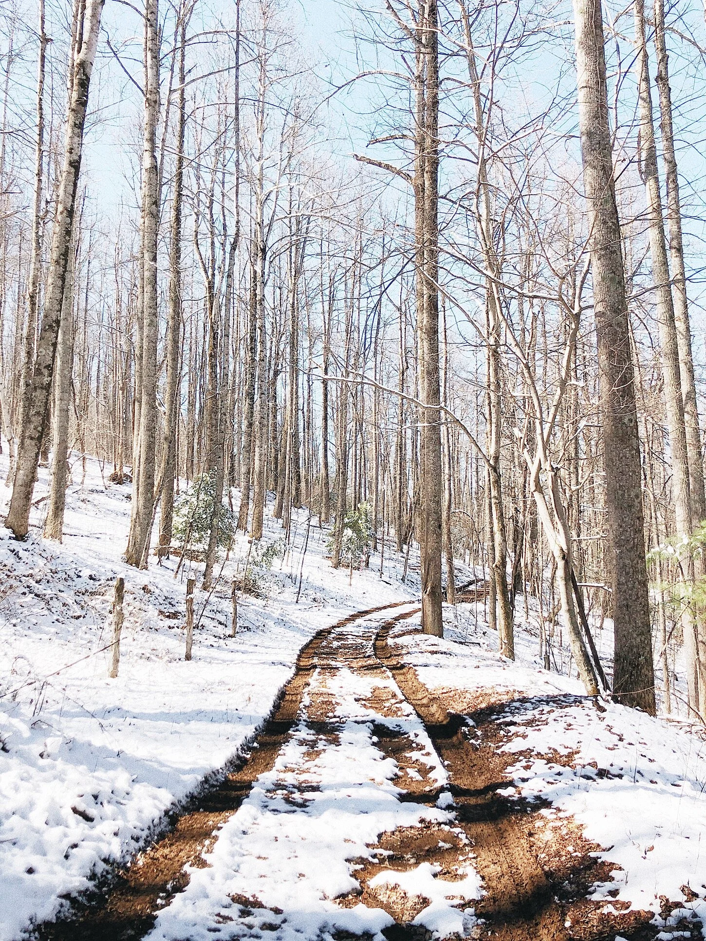 asheville_north_carolina_mountain_wedding_0257.jpg