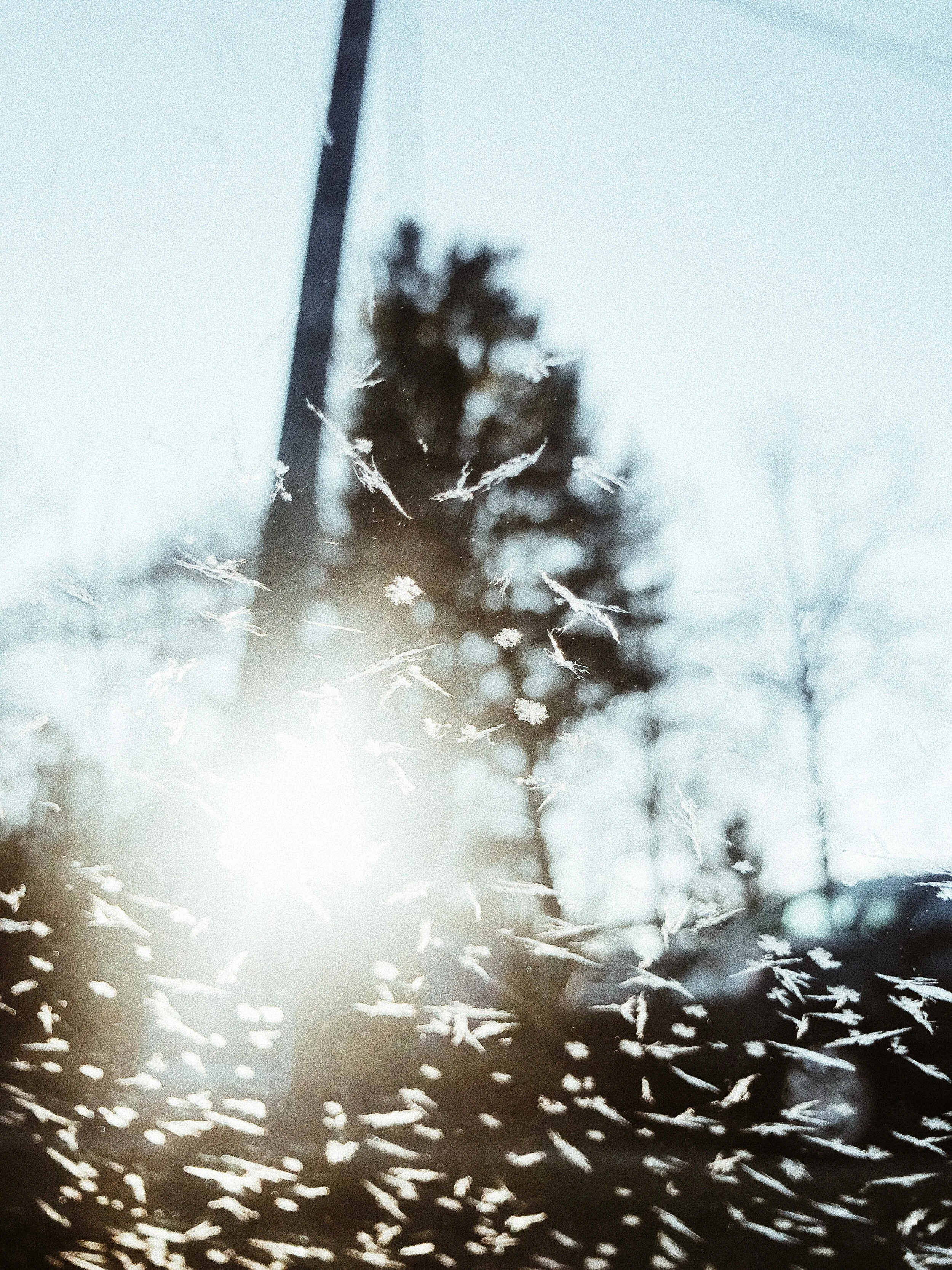 Jackson Family Update