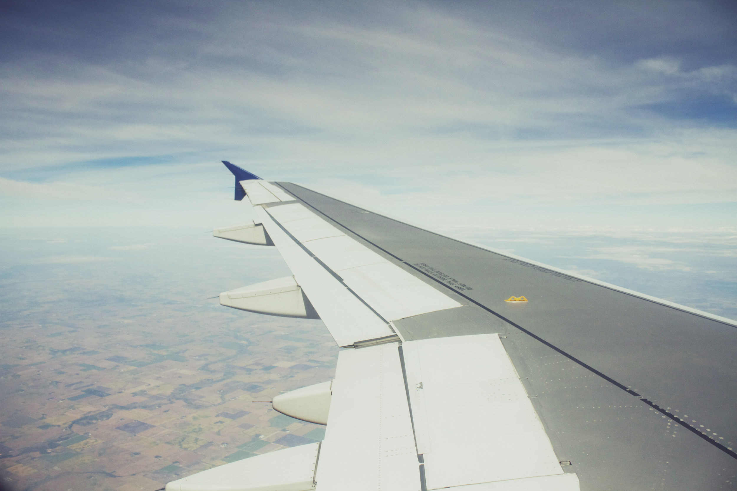 wing.jpg