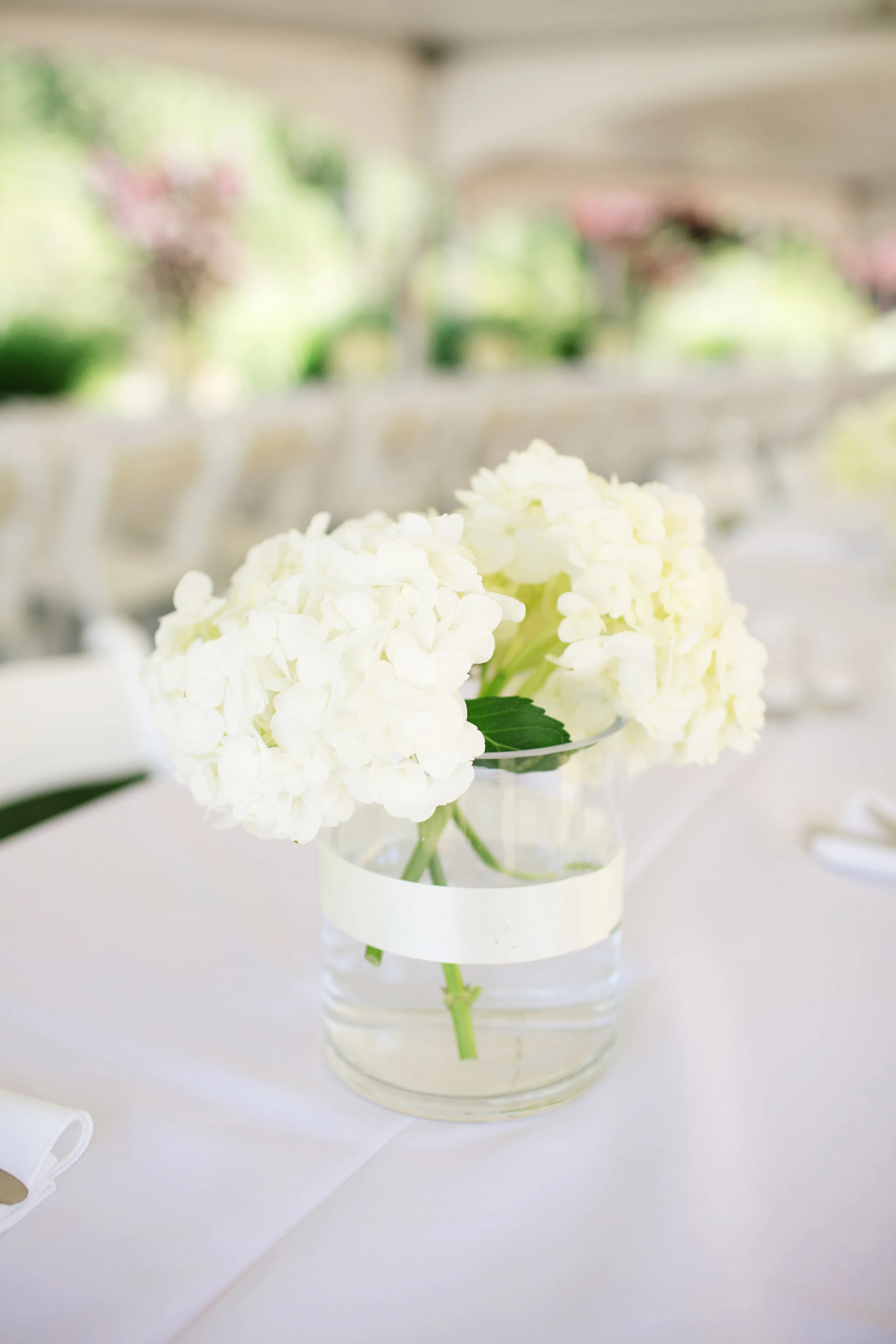 Sarah Tamagni Photography