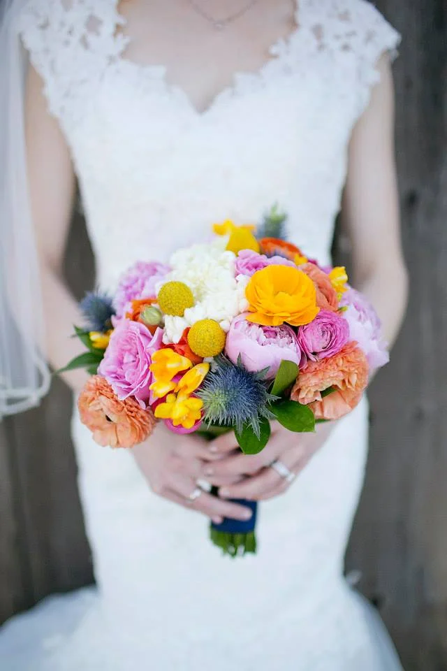 Sarah Tamagni Photography