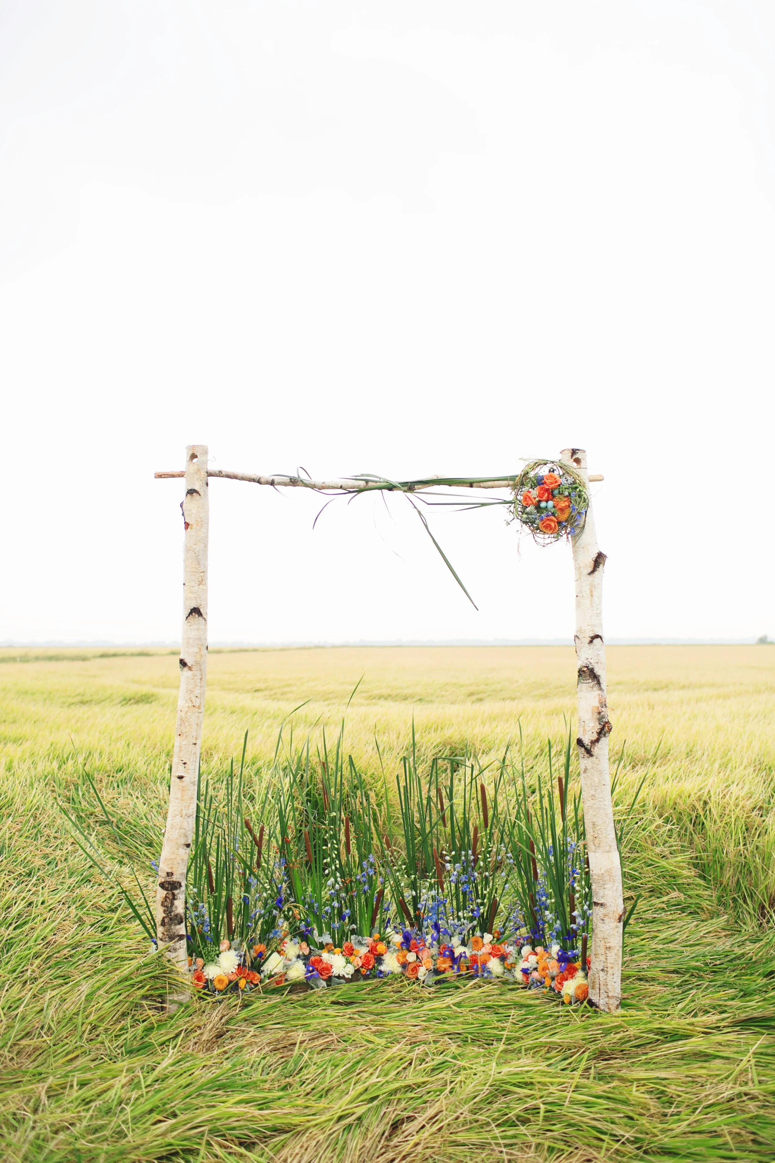 Sarah Tamagni Photography