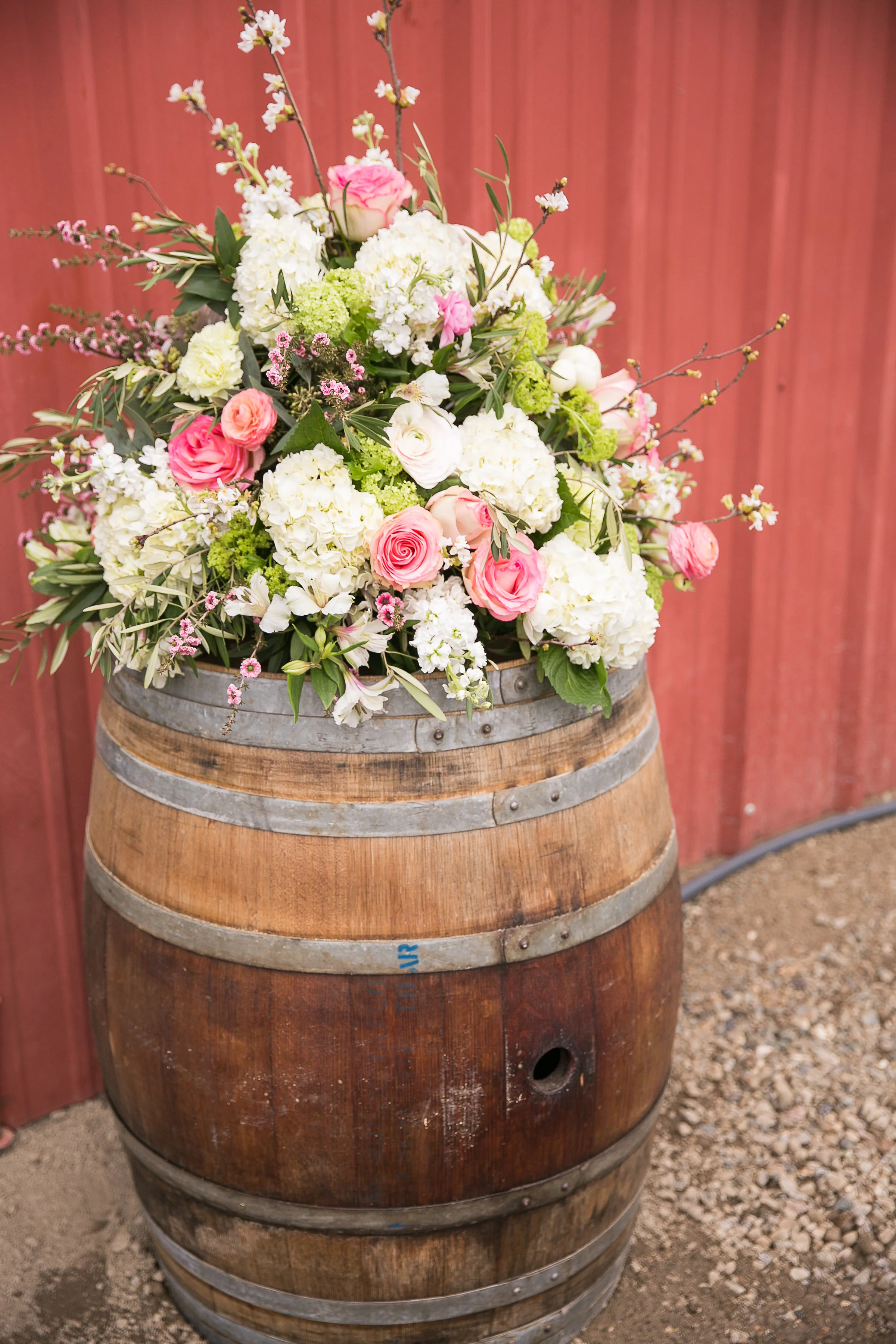 Heather Selzer Photography