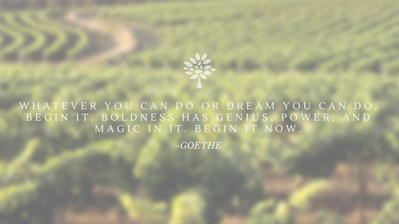 WHATEVER YOU CAN DO OR DREAM YOU CAN DO, BEGIN IT. BOLDNESS HAS GENIUS, POWER, AND MAGIC IN IT. BEGIN IT NOW..png