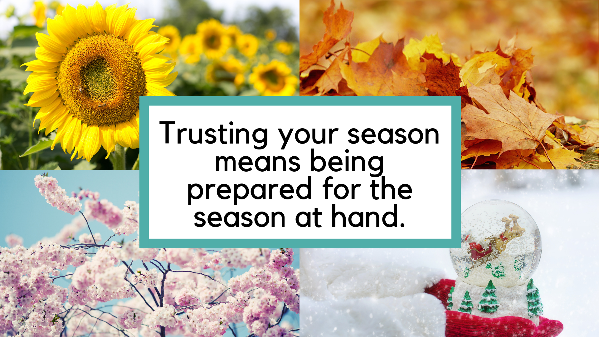 trust your season.png