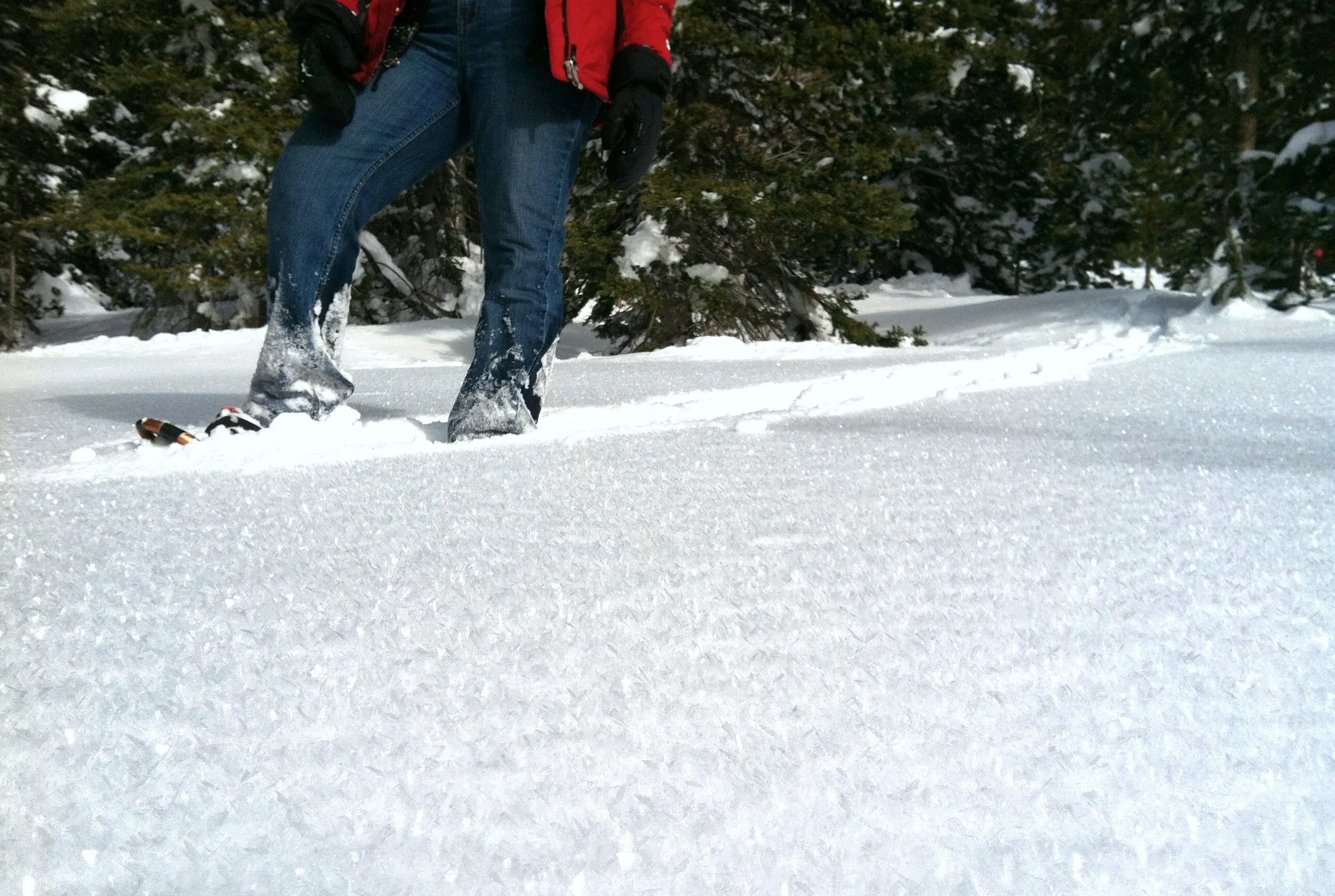 Snowshoe in Steamboat Springs, Colorado