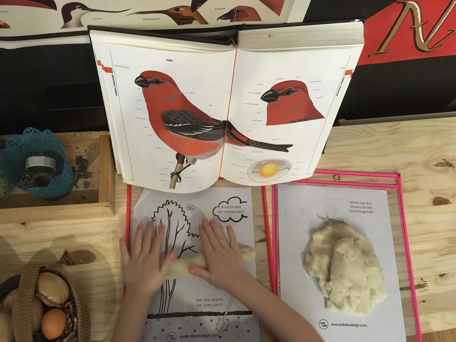 Bird Theme (FREE PRINTABLE PLAYDOUGH MATS)