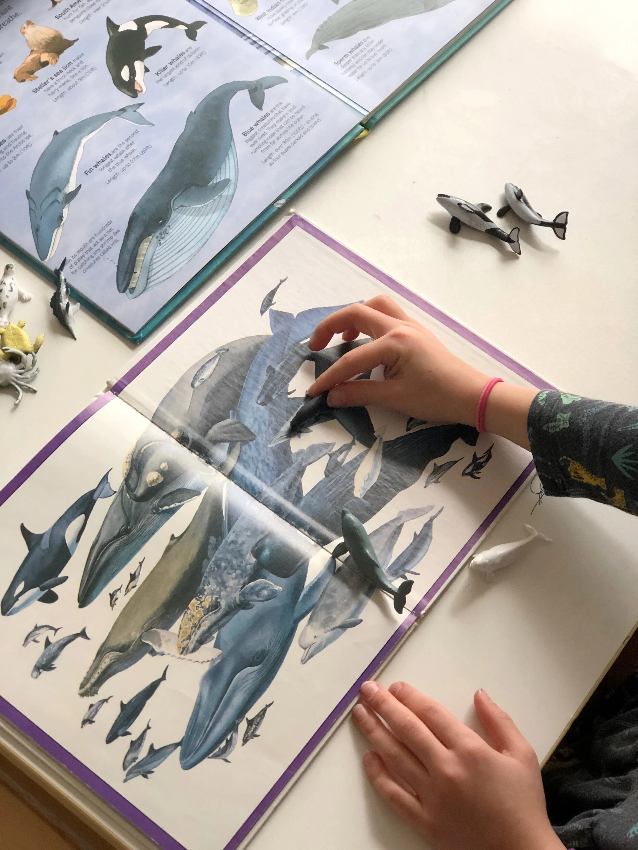 Ocean Theme {FREE} Printables — Blog &amp; DIY Resources | Kid Lab: A ...