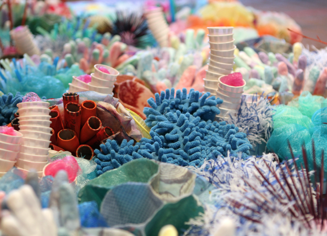 Coral Reef Window Display & Kids' Art Collab — Blog & DIY Resources ...