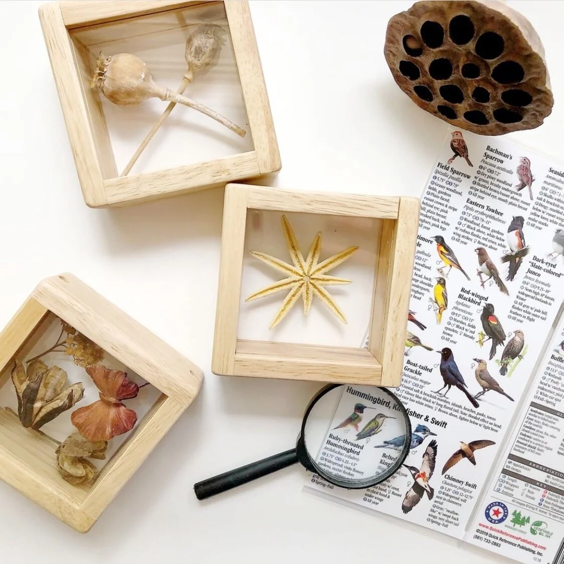 Favorite Science Tools